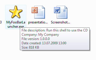 Customized autorun launcher shown in Explorer with customized version information displayed in the tooltip.