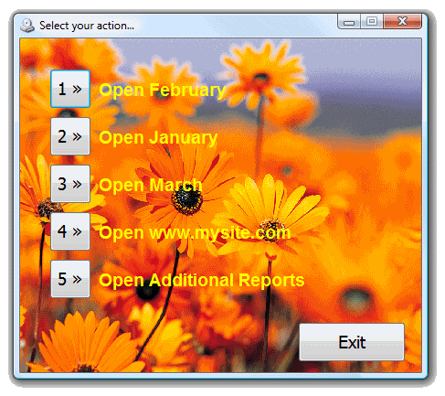 Autorun menu with a background, customized fonts and without header